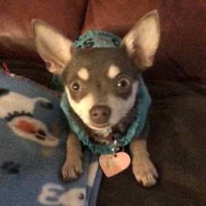 Meet your Posher, Sherese